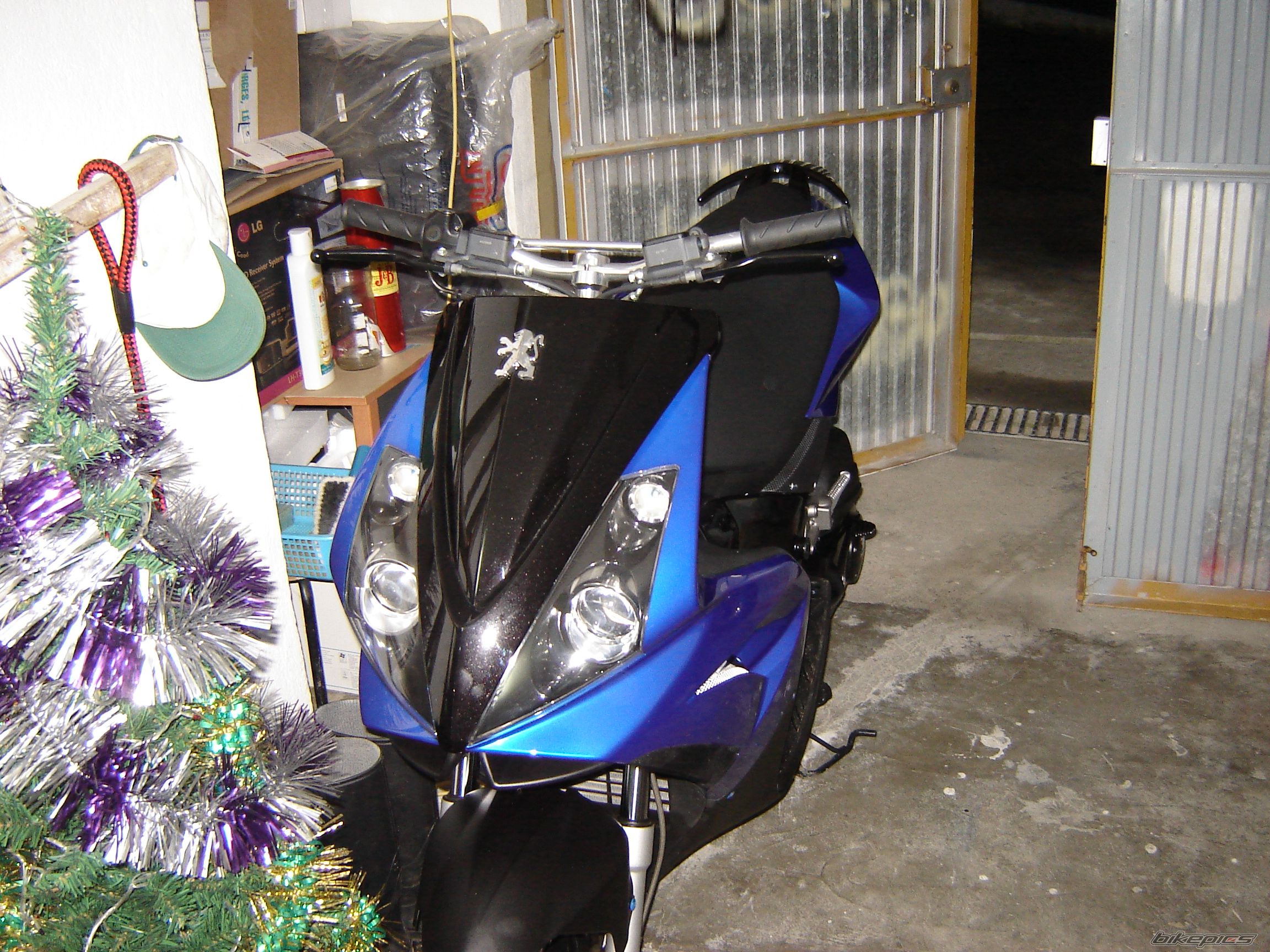 Photo 1151288