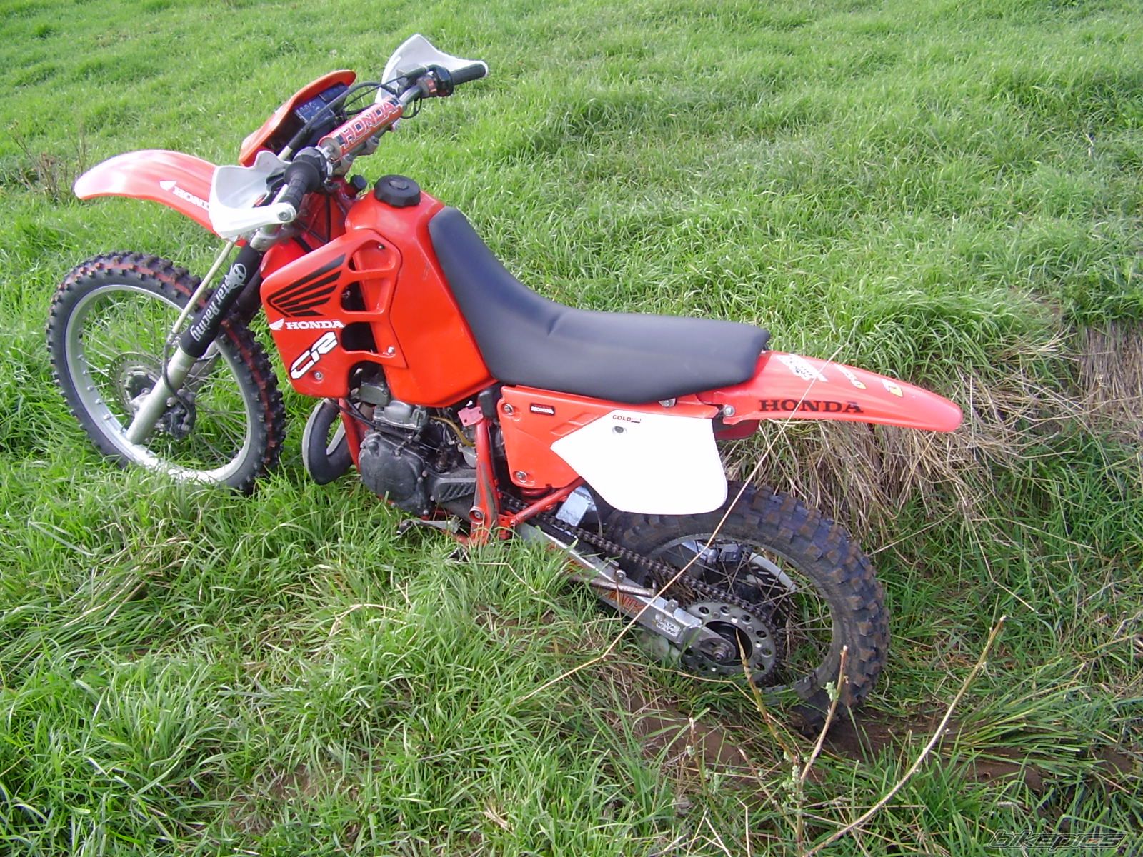 Photo 1151380