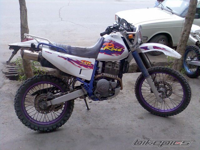 Photo 1151419