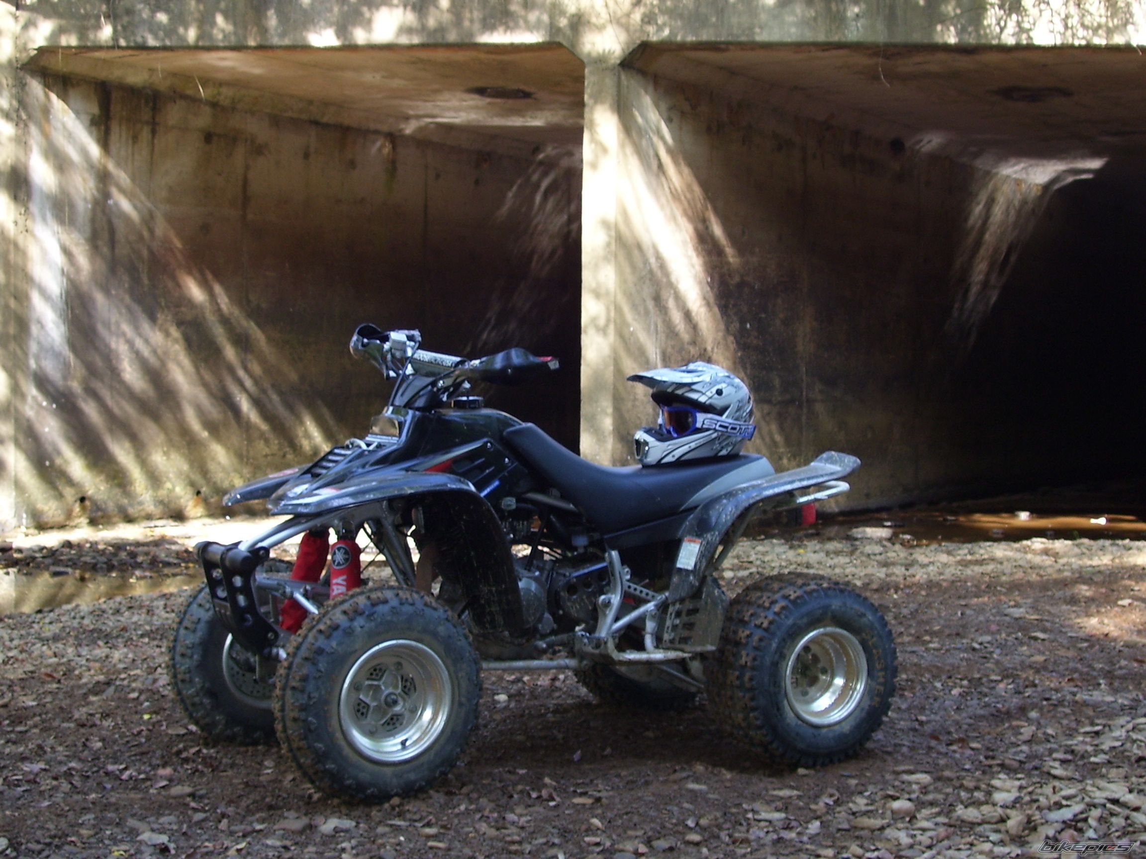 Photo 1151815
