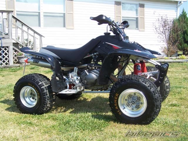 Photo 1151816