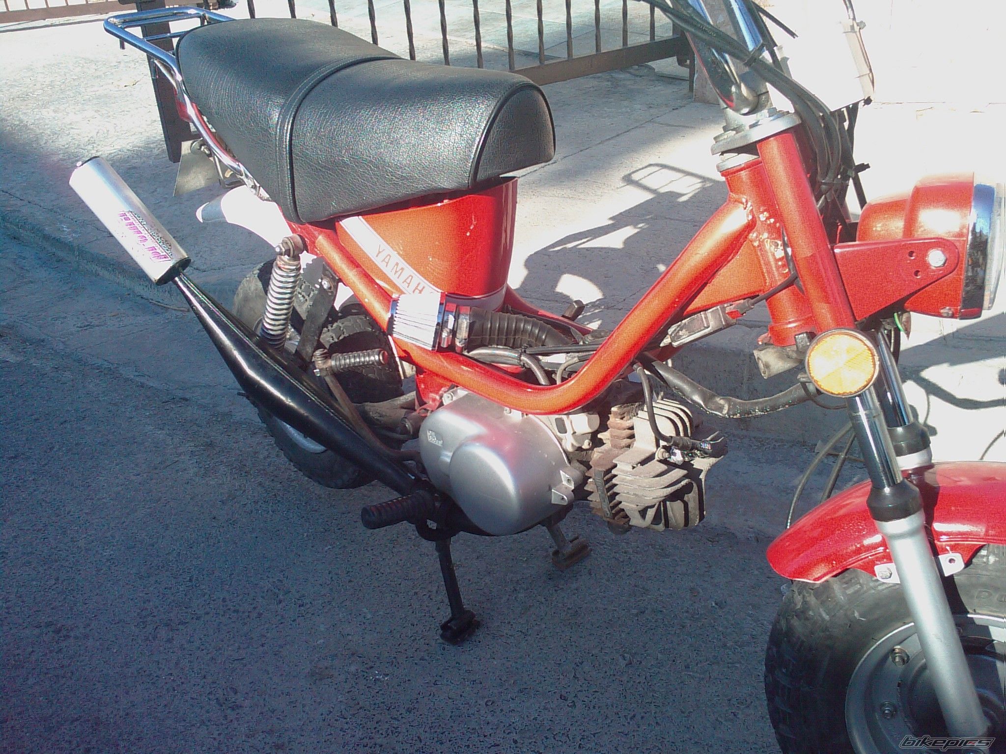 Photo 1151881