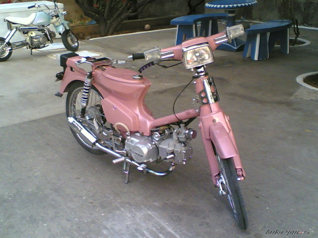 Photo 1151974