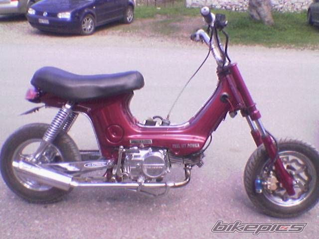 Photo 1152005