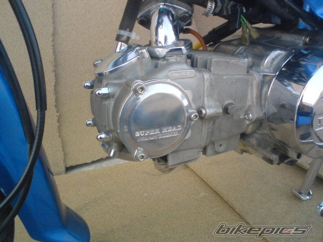 Photo 1152027