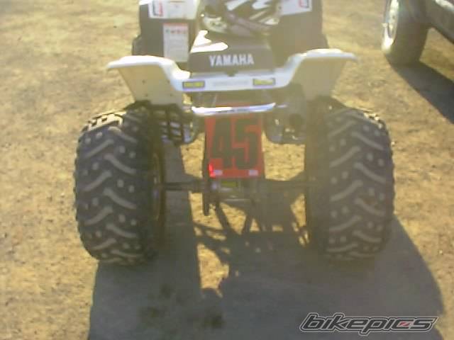 Photo 115213