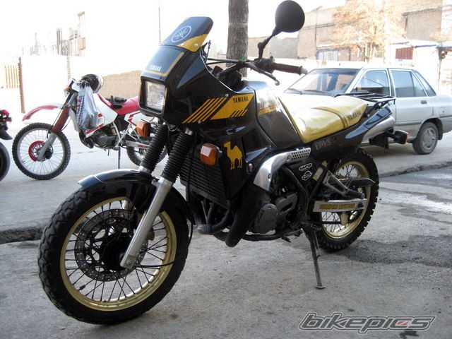 Photo 1152185