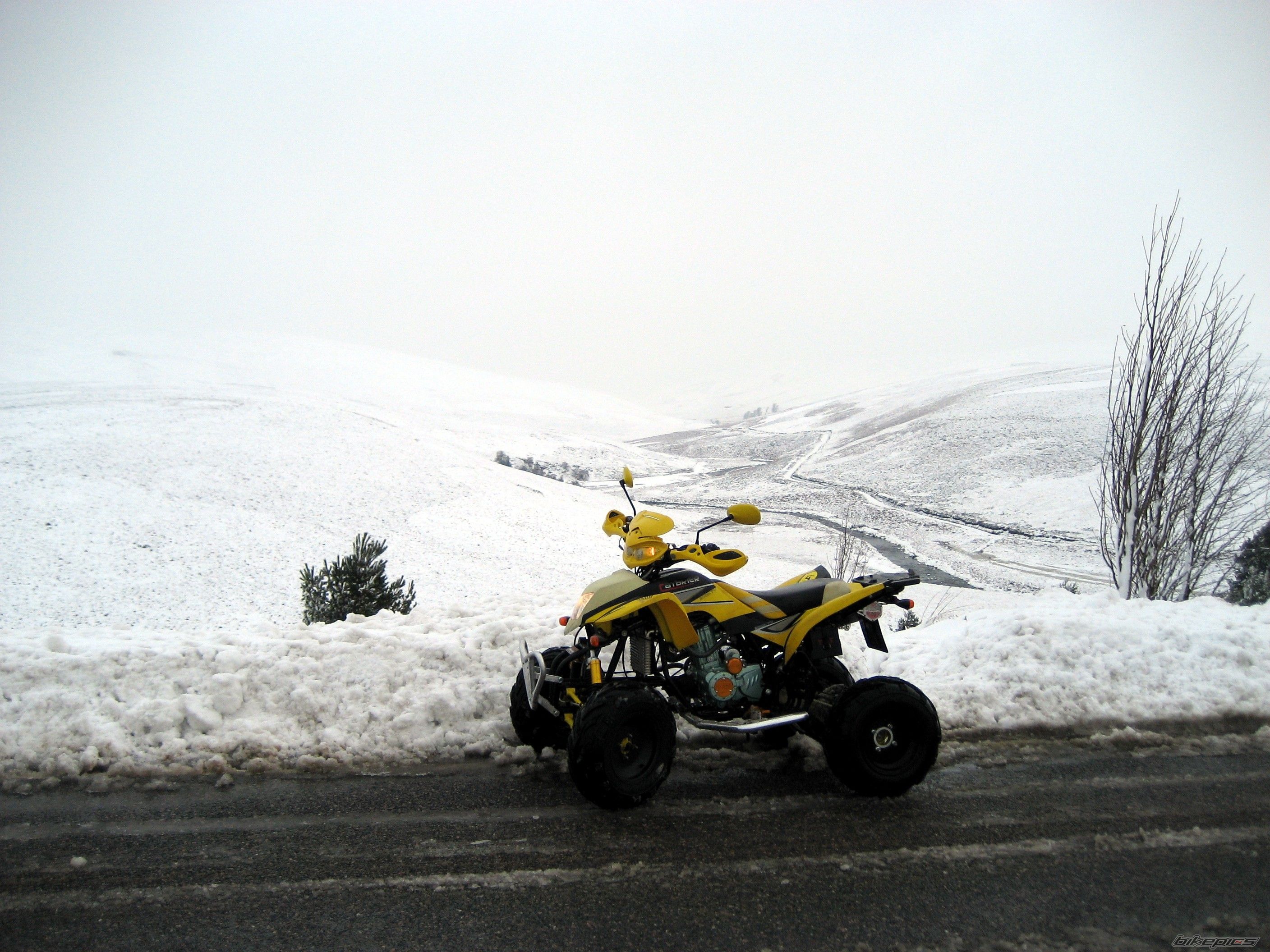 Photo 1152286
