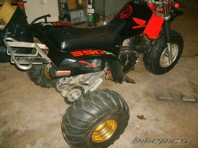 Photo 1152311