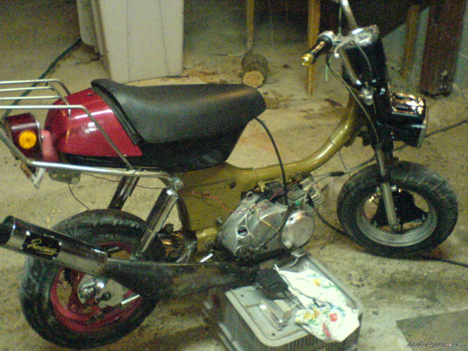 Photo 1152425