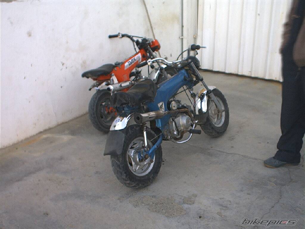 Photo 115249