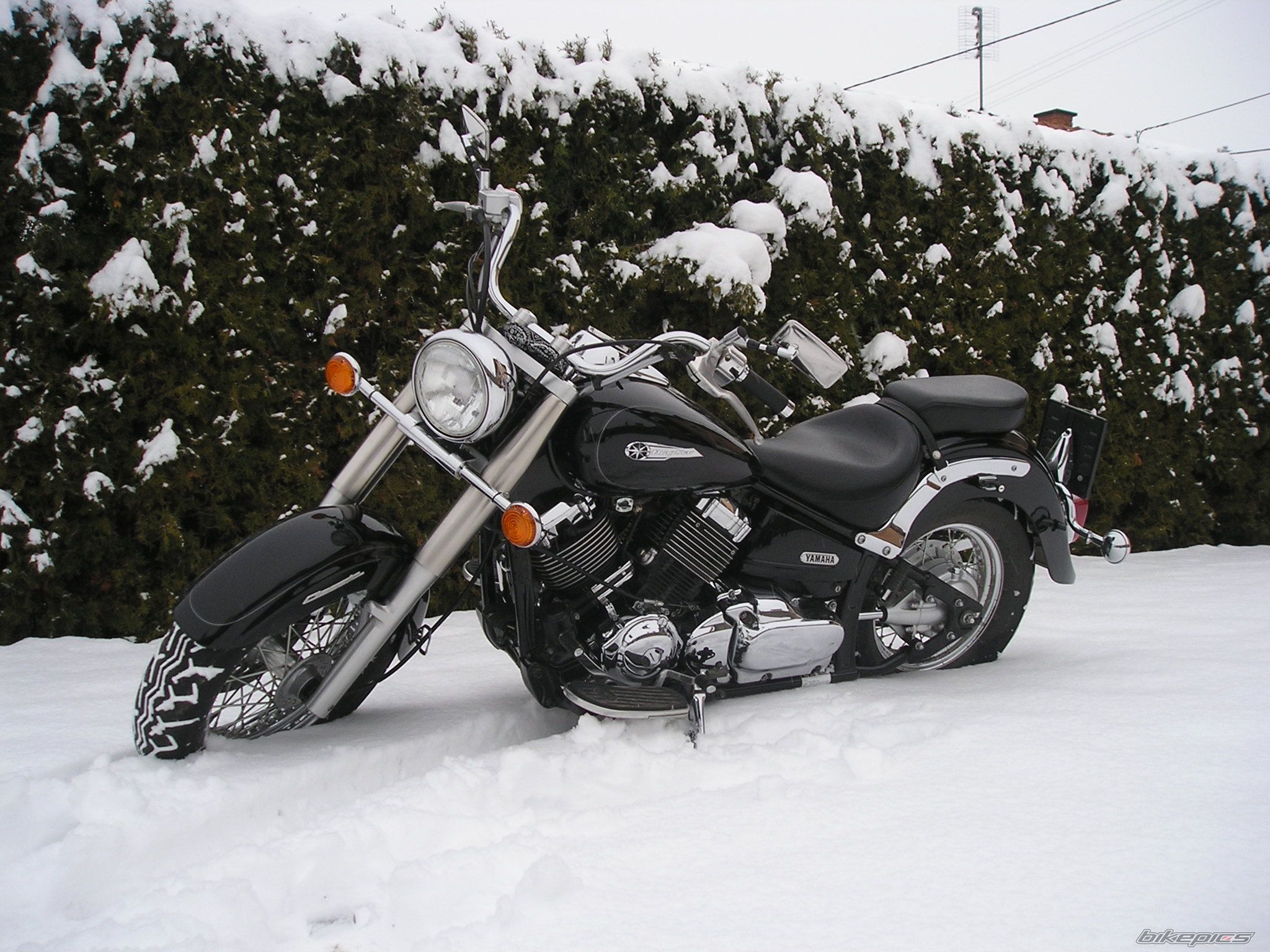 Bike Photo 1152494