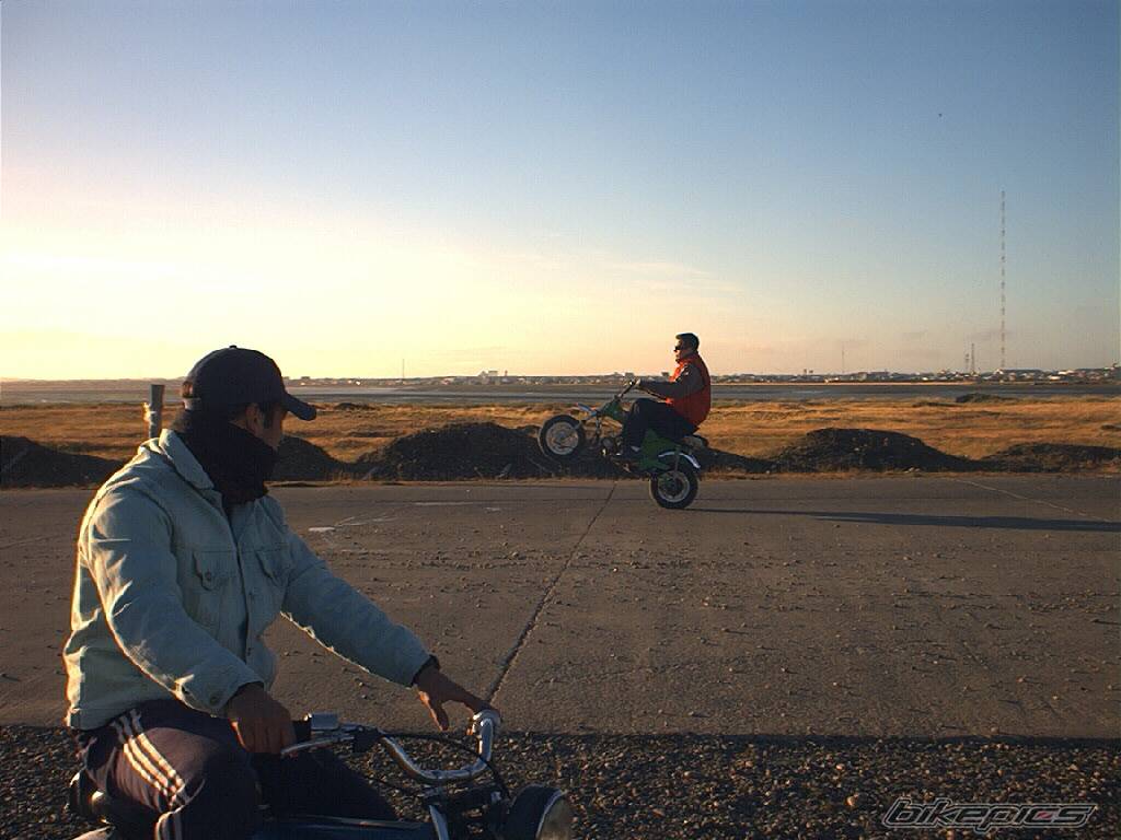 Photo 115255