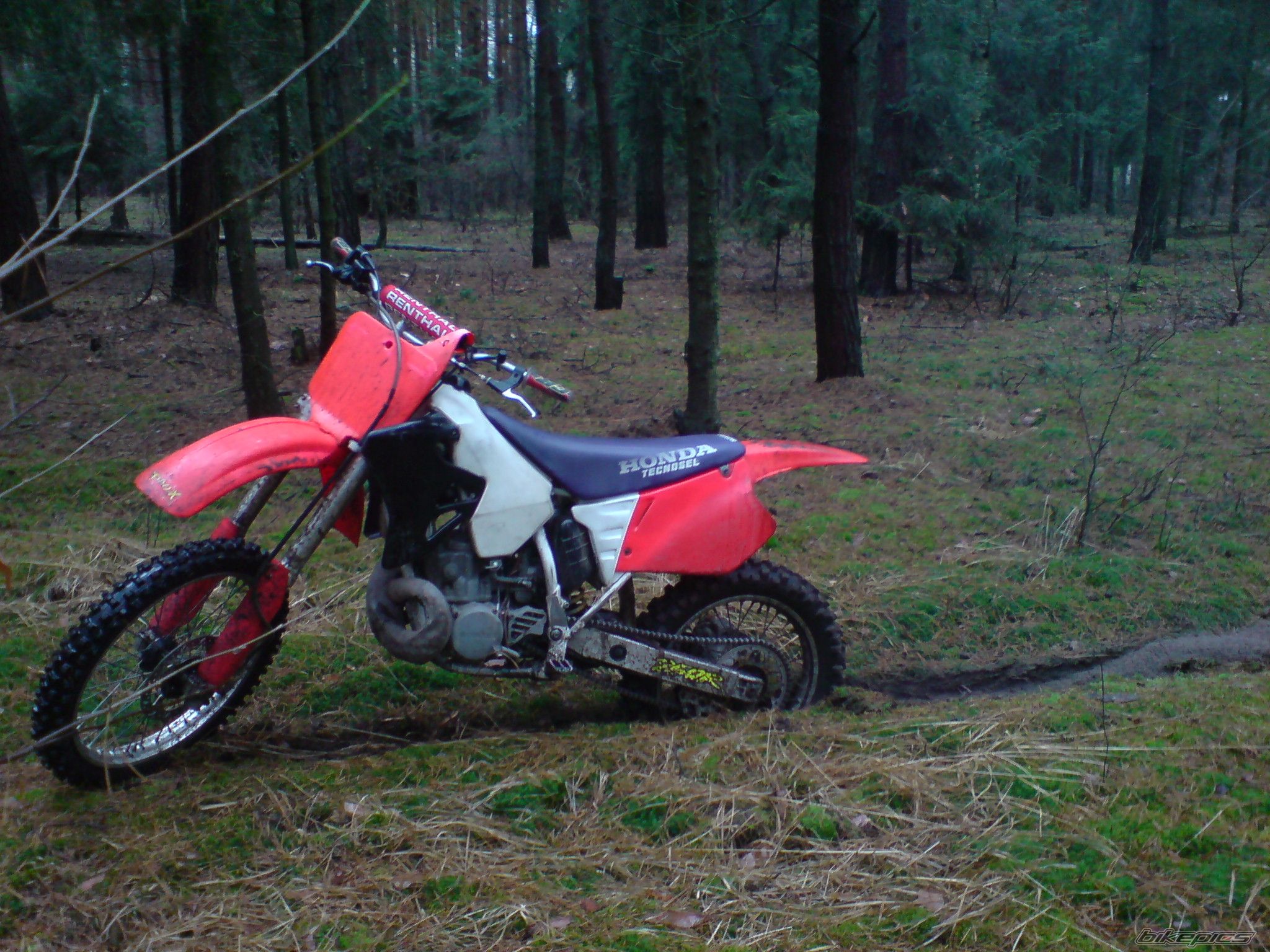 Photo 1152583