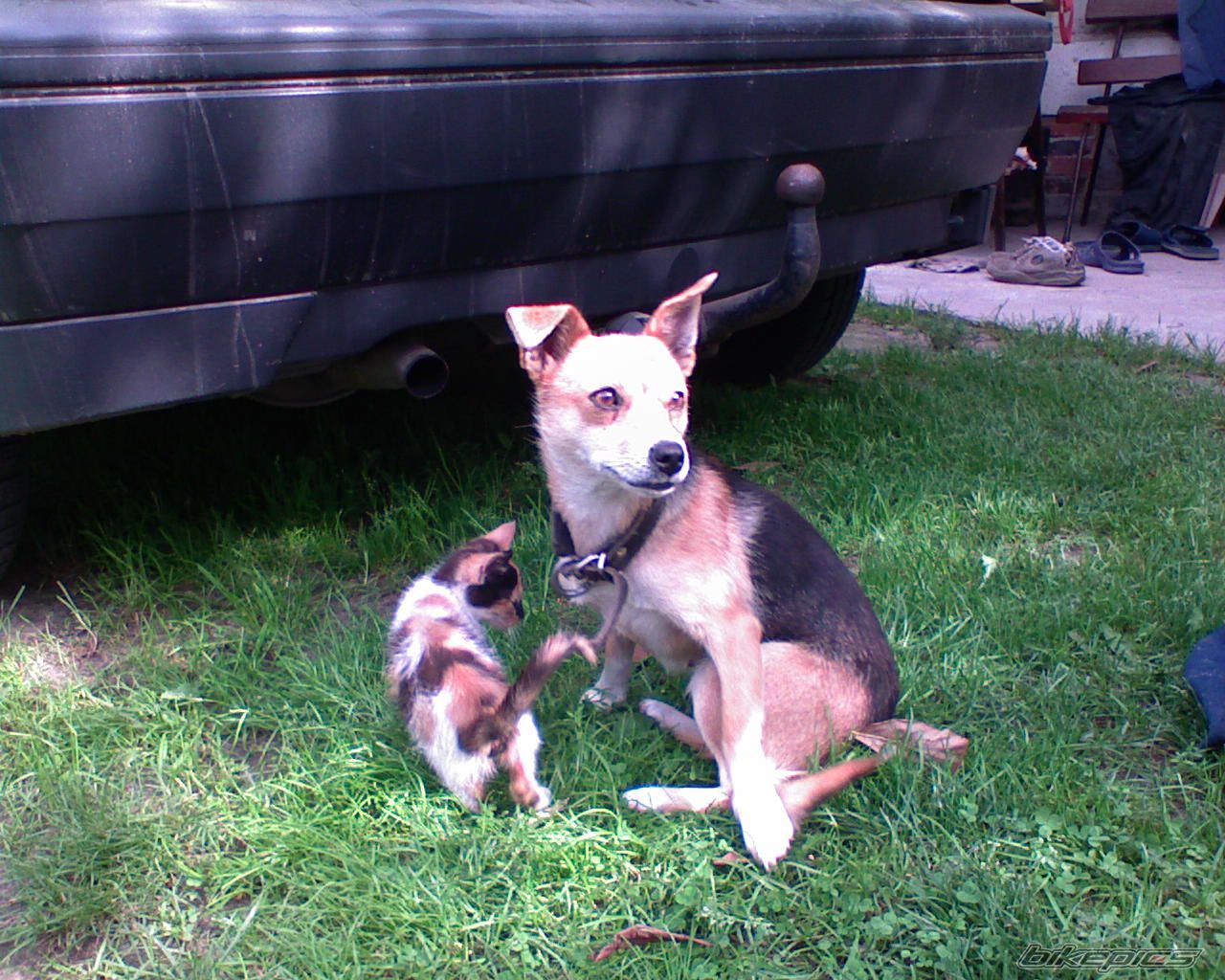 Photo 1152699