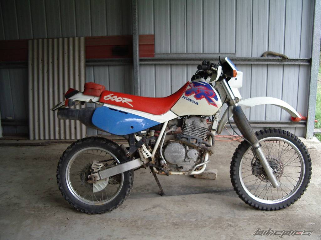 Photo 115299