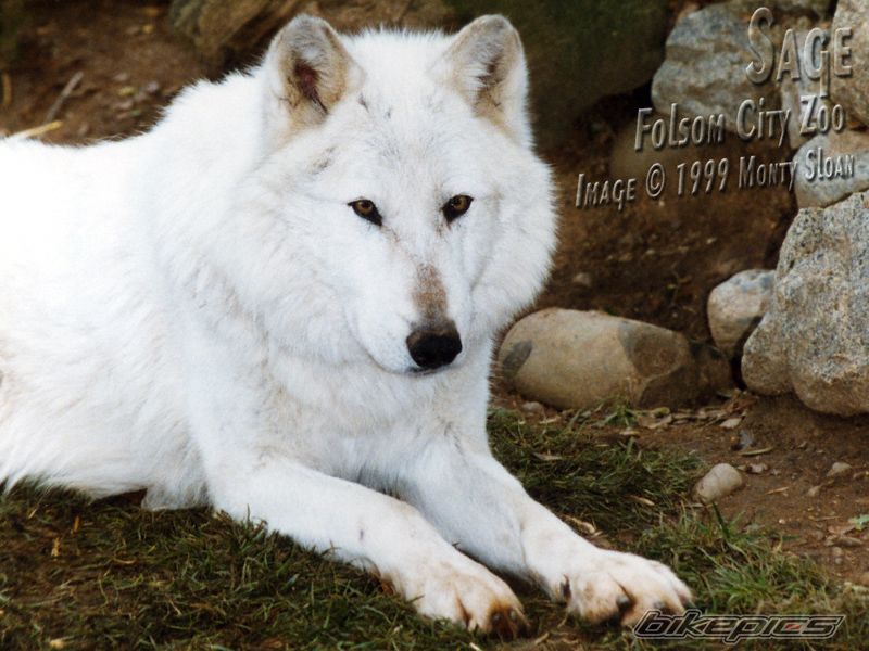 Photo 1153011