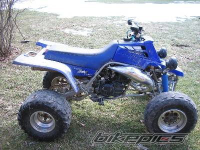 Photo 115311