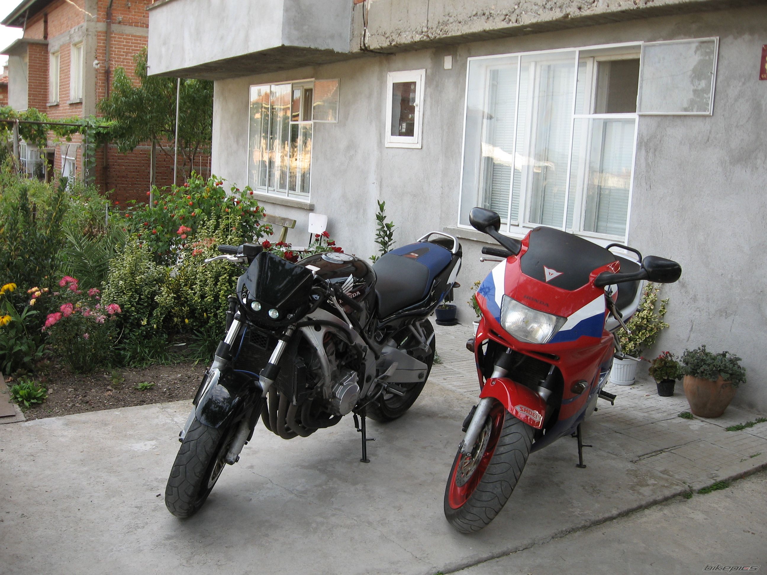 Photo 1153221