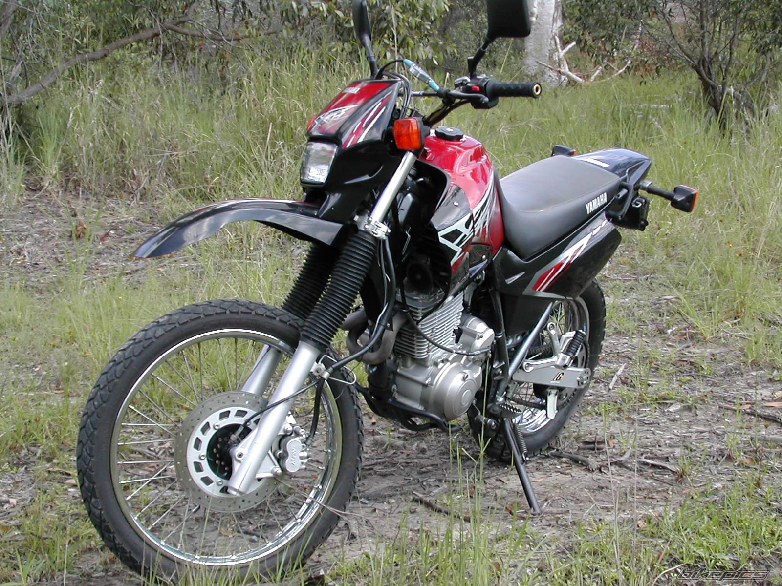 Bike Photo 115328