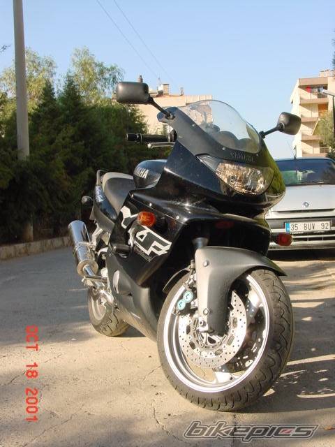 Photo 11535