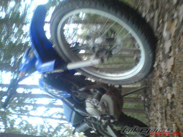 Photo 1154067