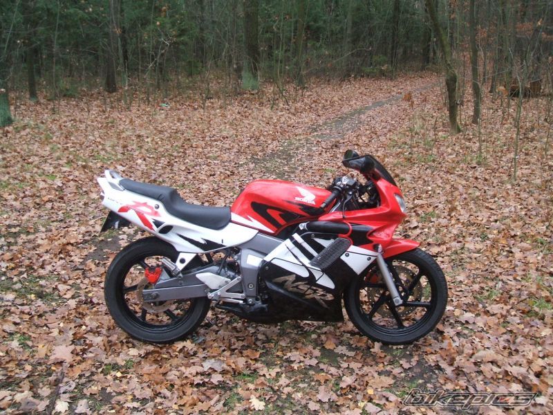 Photo 1154088
