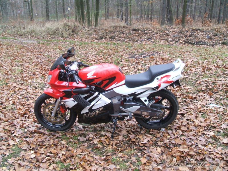 Photo 1154093