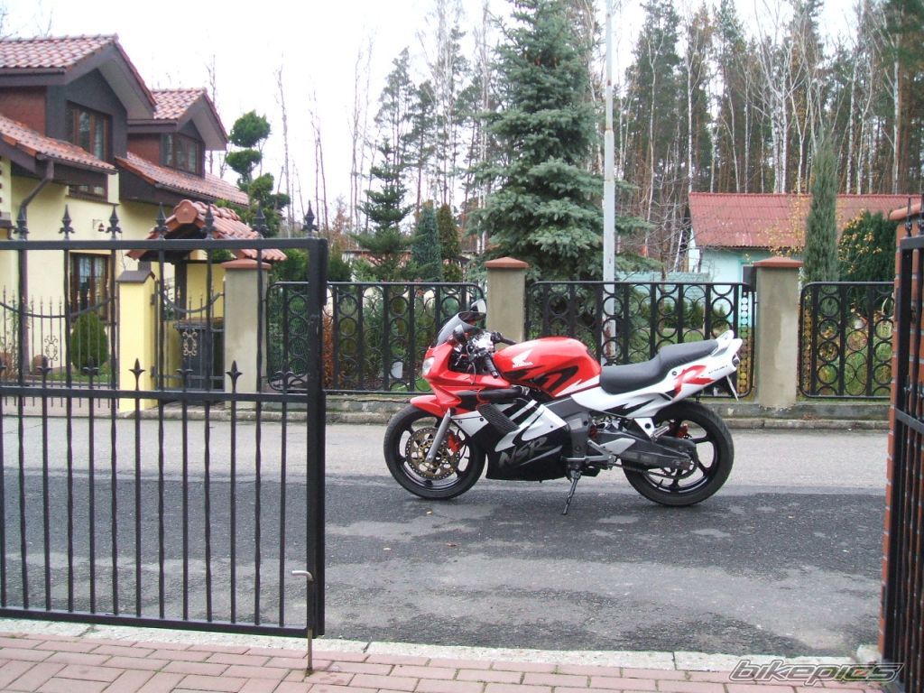 Photo 1154101