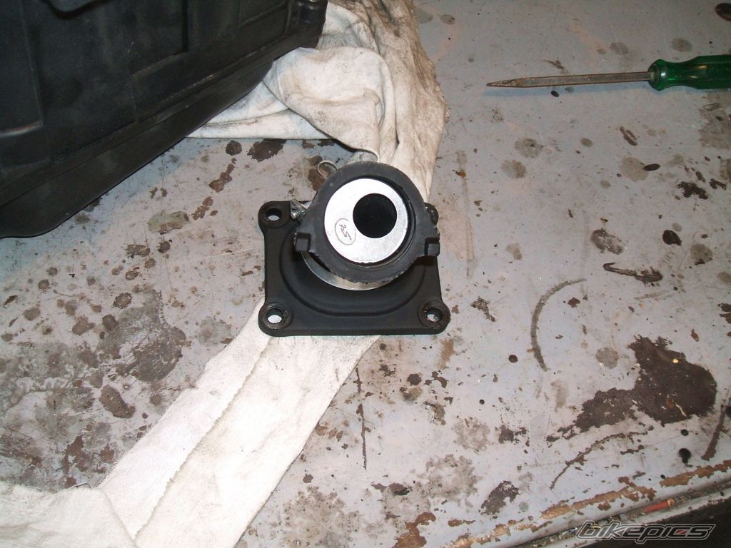 Photo 1154109