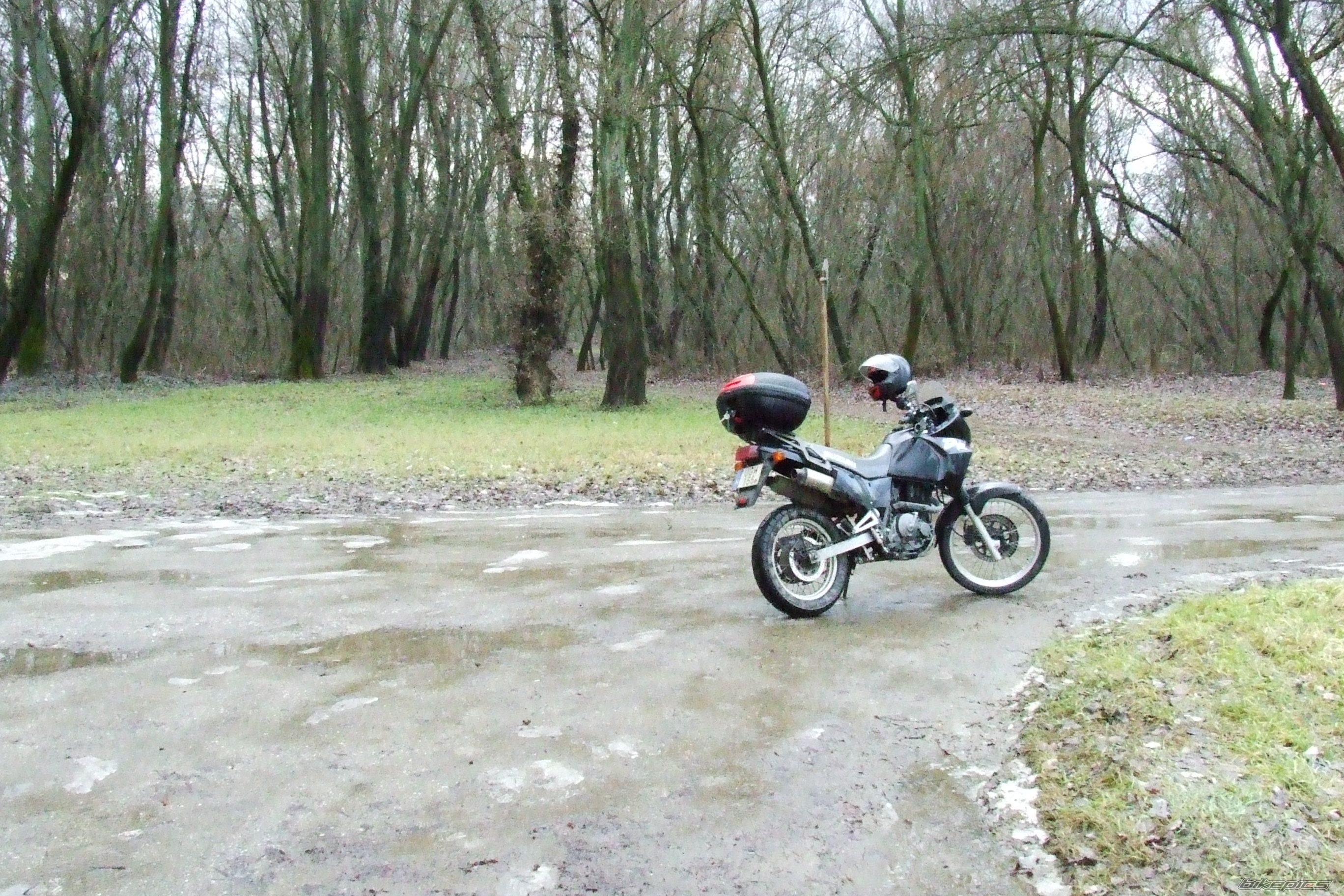 Bike Photo 1154147