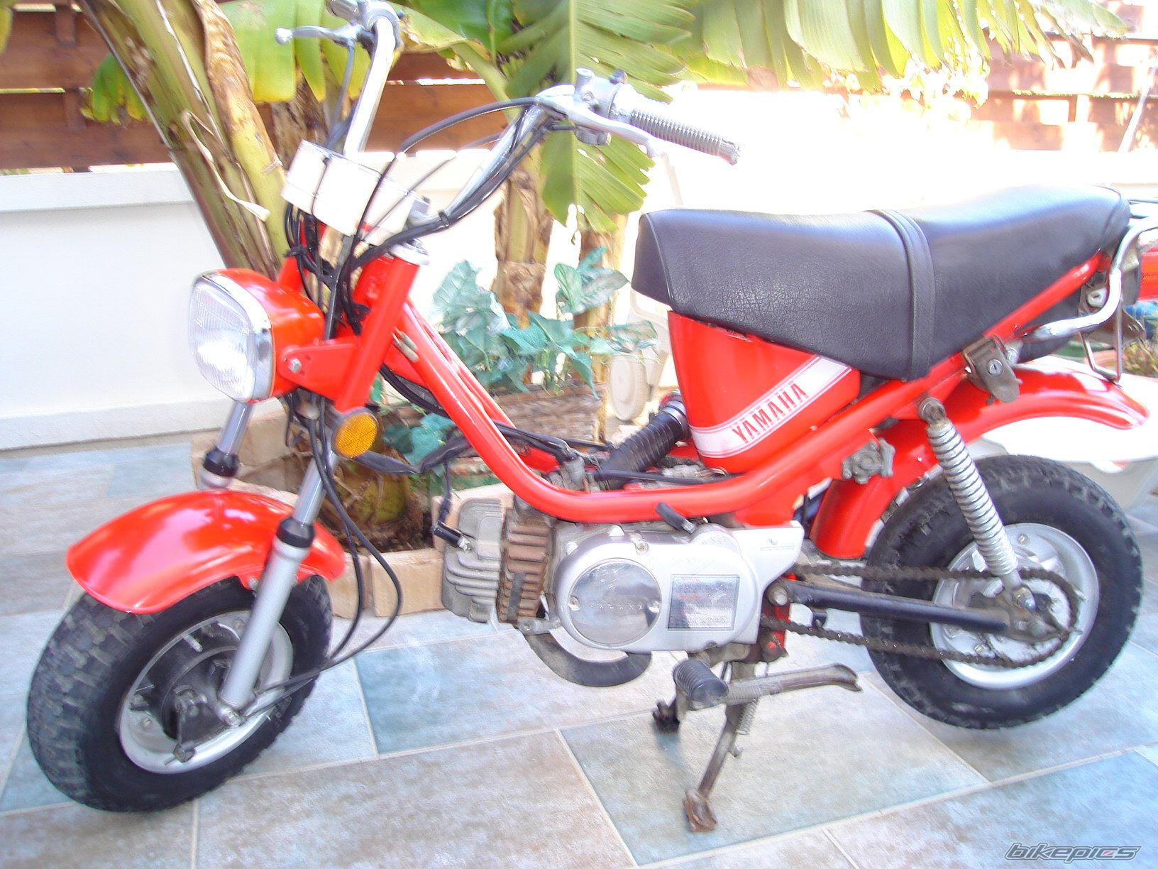Photo 1154190