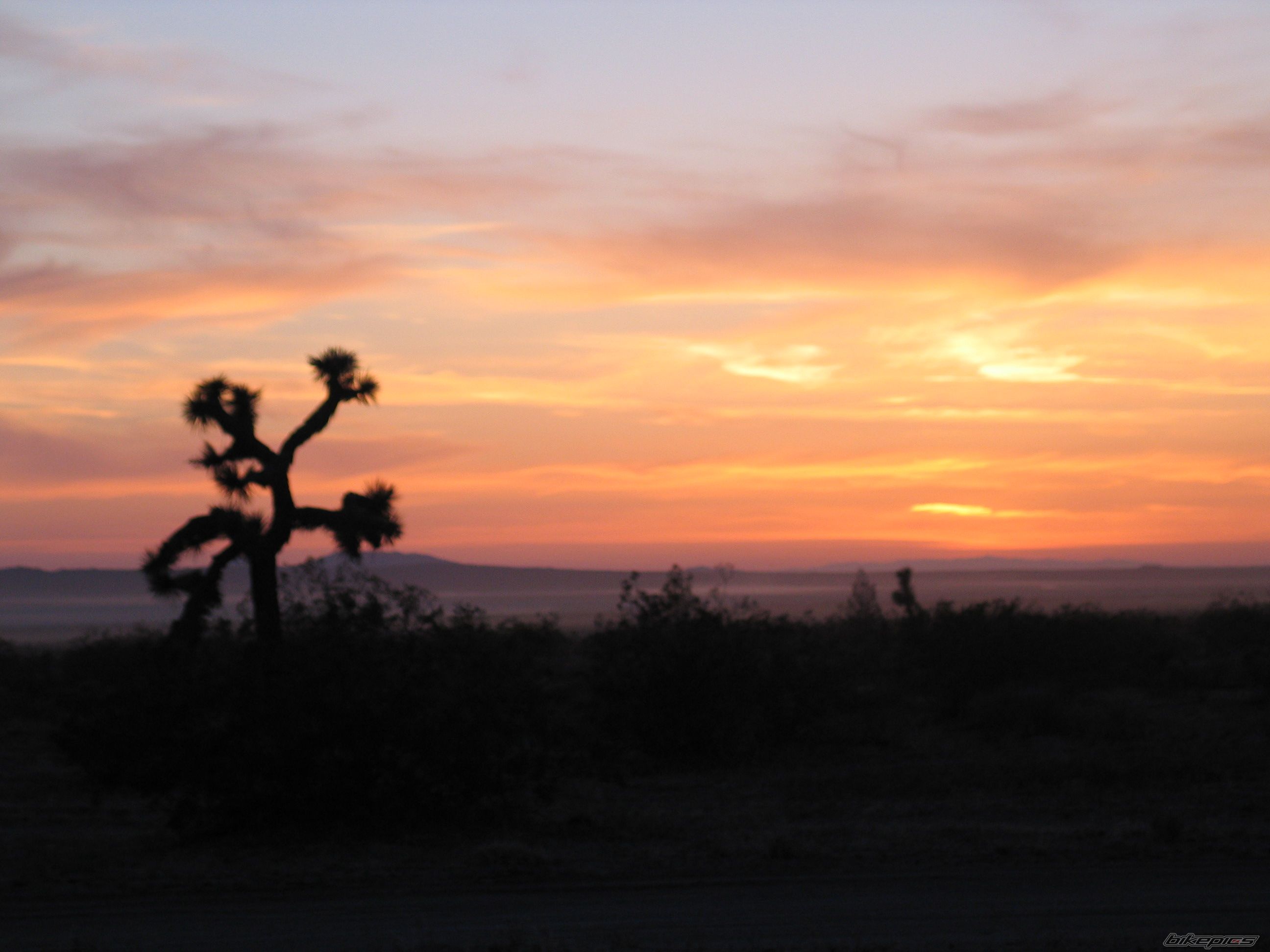 Photo 1154198