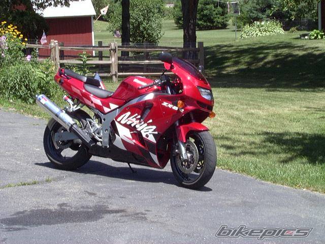 Photo 11542