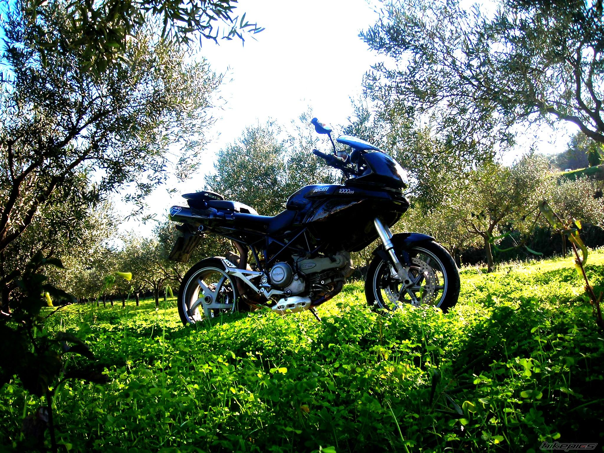 Photo 1154255
