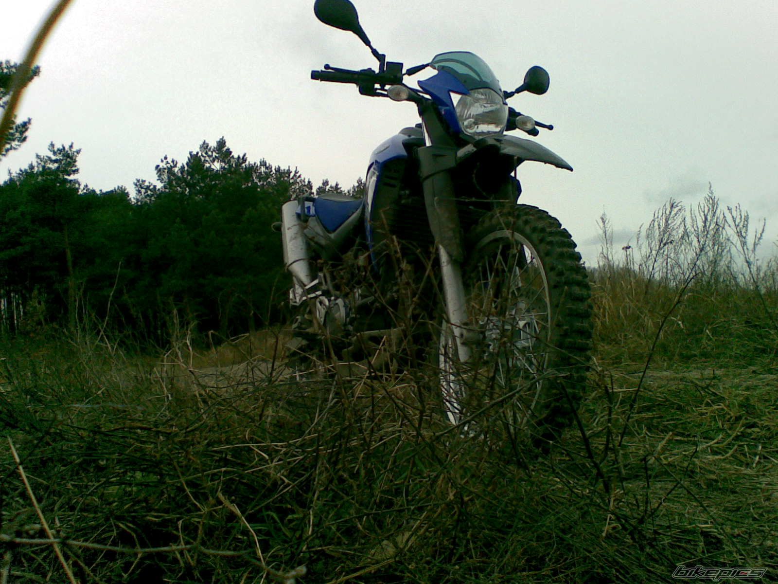Bike Photo 1154283
