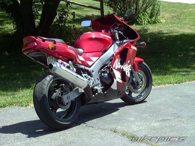 Photo 11543
