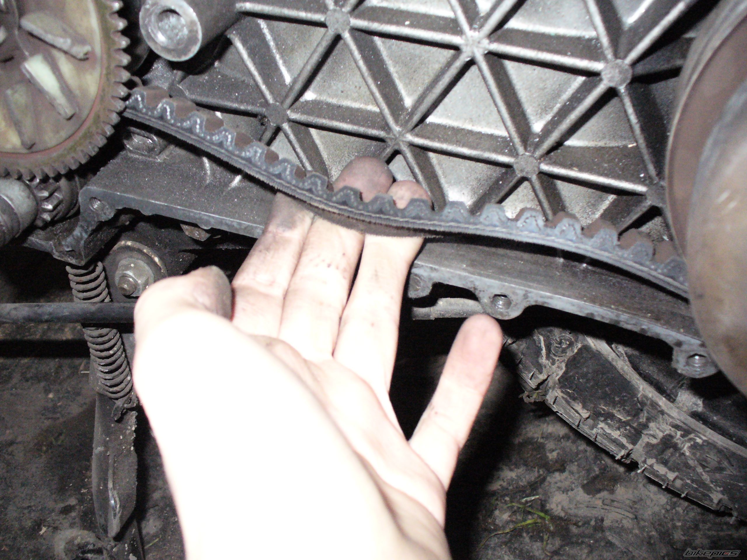Bike Photo 1154304