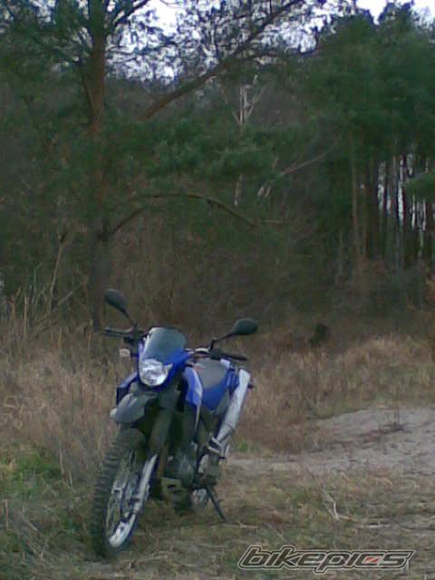 Bike Photo 1154388
