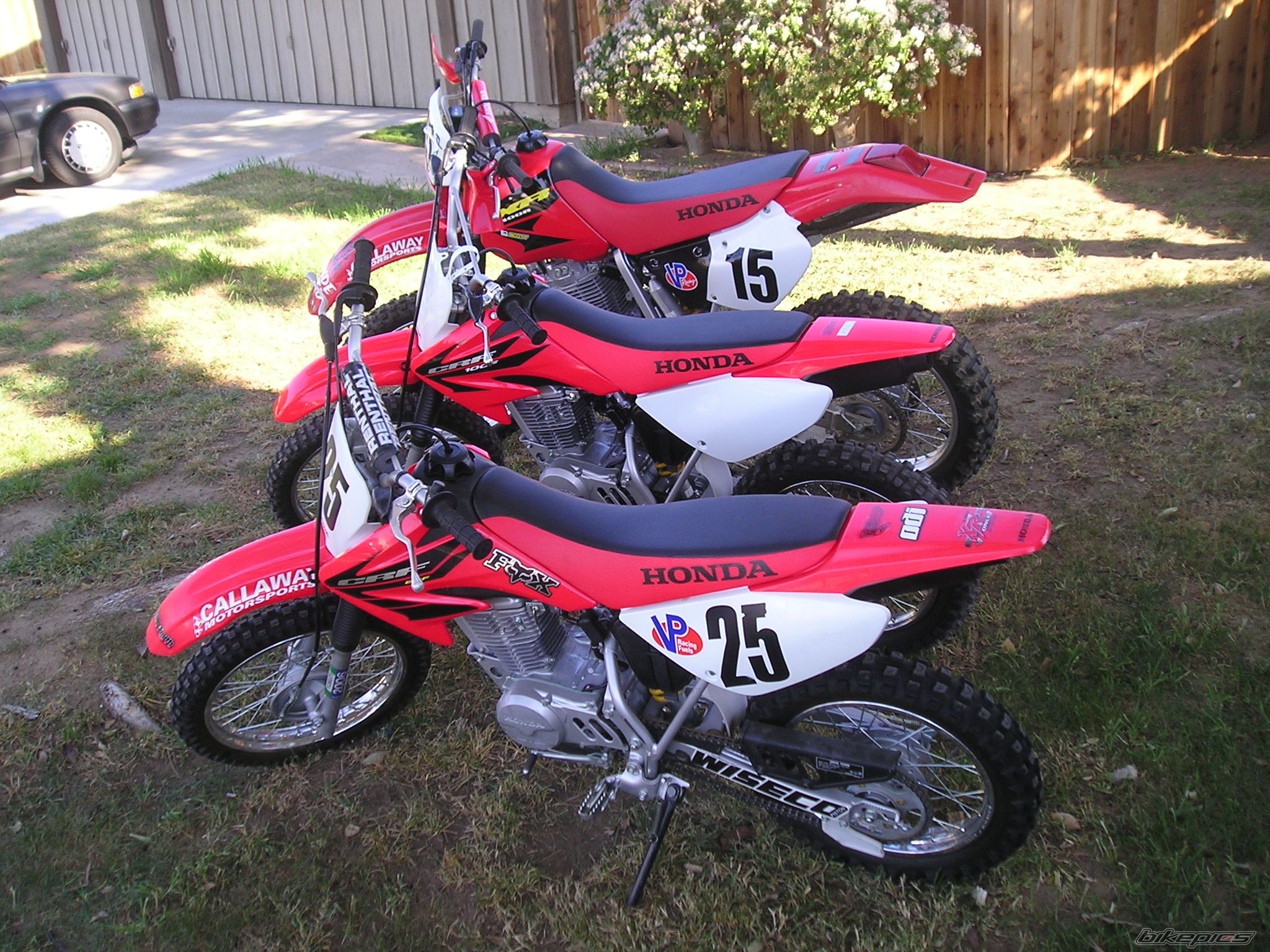 Photo 1154394