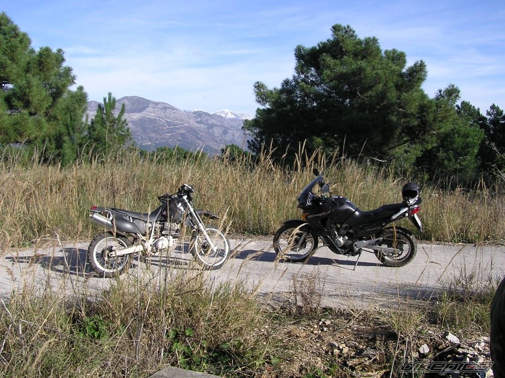 Bike Photo 1154445