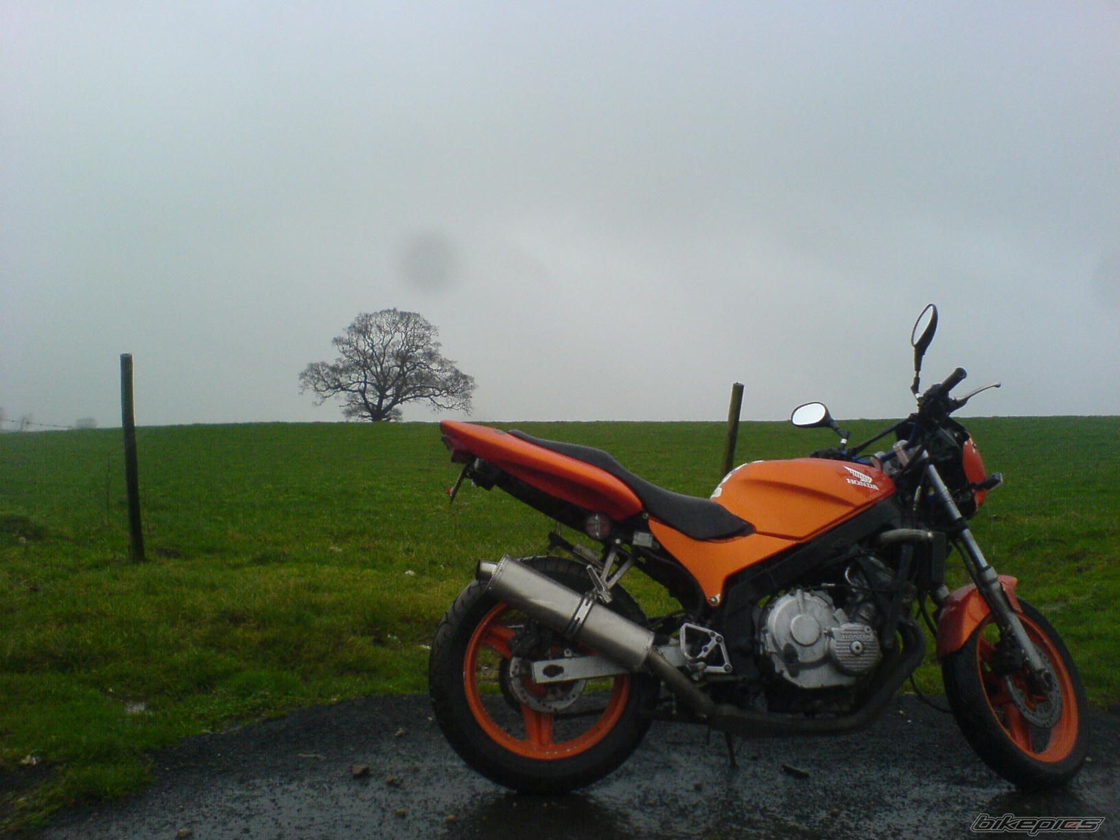 Photo 1154447