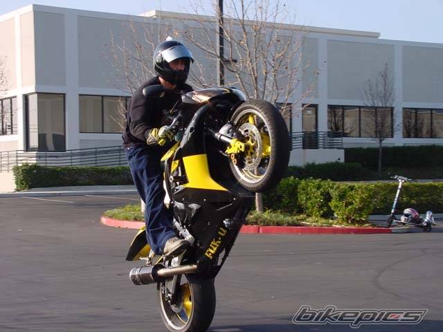 Photo 115462