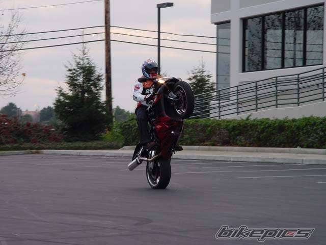 Photo 115463