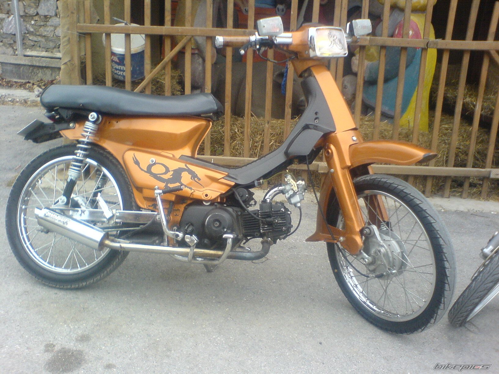 Photo 1154638