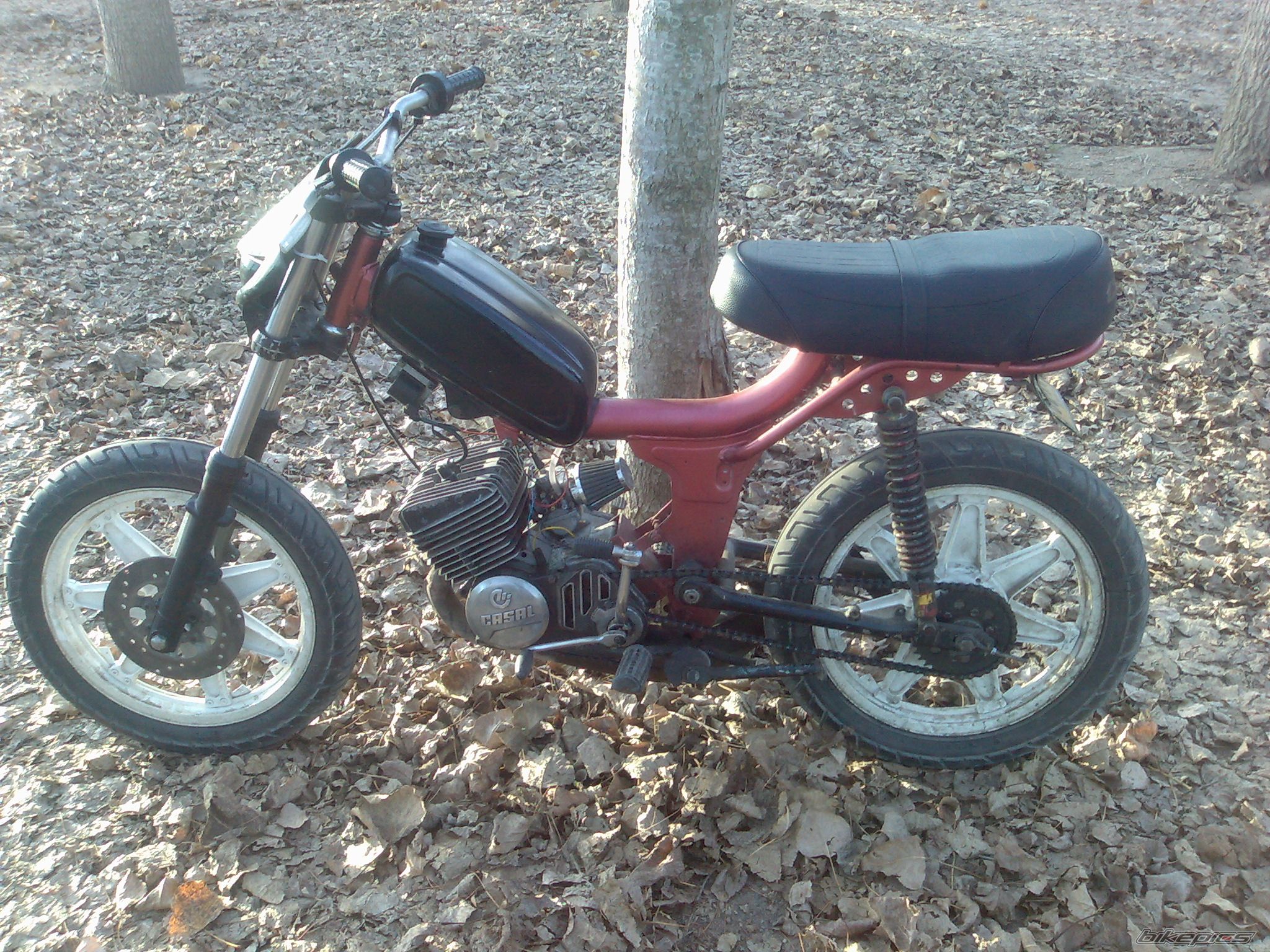 Photo 1154733