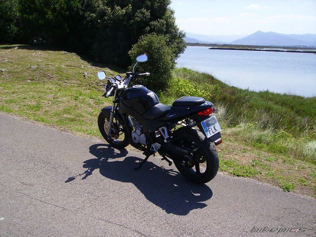 Photo 1154758