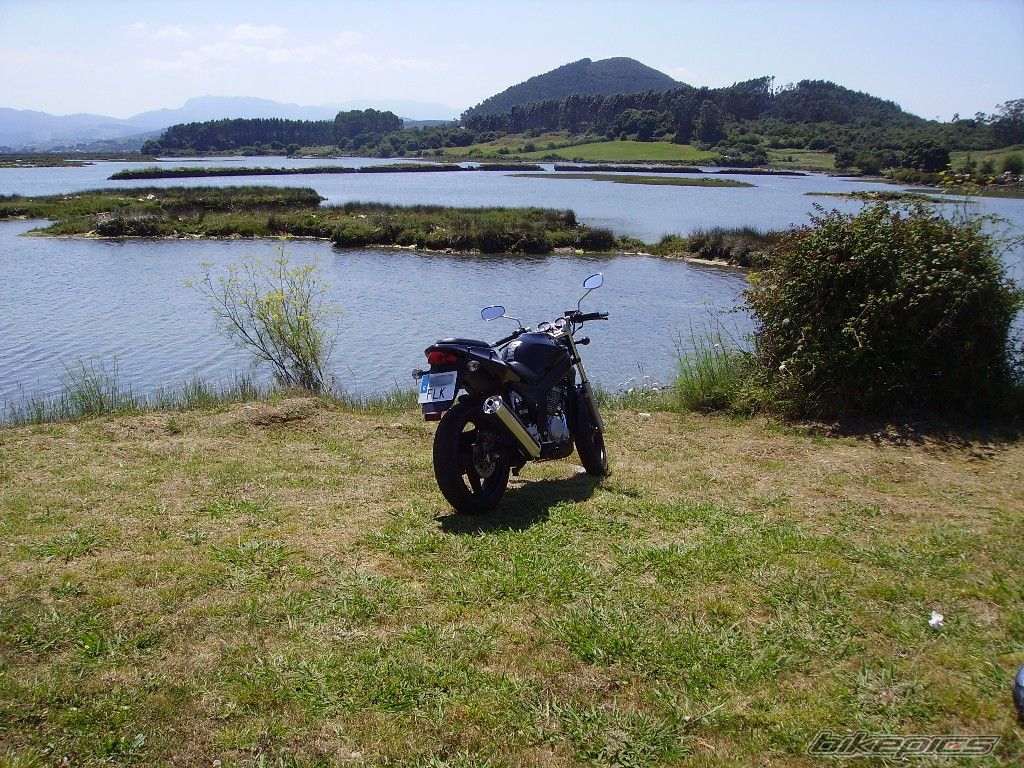 Photo 1154775