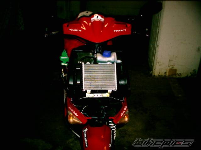 Photo 115478