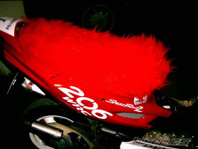 Photo 115480